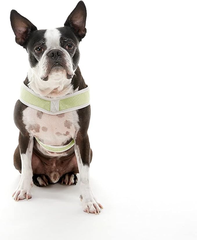 Gooby Simple Step in III Harness - Green, Small - Small Dog Harness with Scratch Resistant Outer Vest - Soft Inner Mesh Harness for Small, Medium Dogs