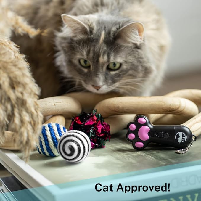 Luli & Cat USB-Rechargeable Laser Toy | Multi-Function Interactive Pointer | Cat Toy Gift Set