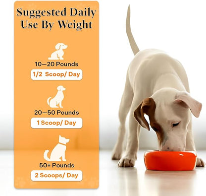 Healthy Dogma - Flee Flea Flee Natural Yeast & Garlic Powder Formula to Keep Fleas and Ticks Away from Dogs - All Natural with No Harmful Chemicals (6 Oz)