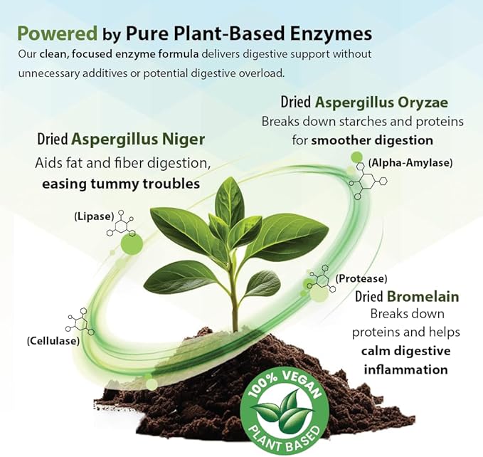 PHS Syner-G Digestive Enzymes Supplement for Dogs and Cats - Alpha-Amylase, Lipase, Cellulase, and Protease - Digestion Support, Absorption of Nutrients, Skin Health - 454 Grams