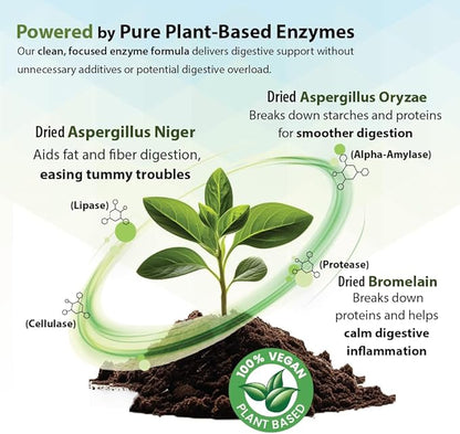 PHS Syner-G Digestive Enzymes Supplement for Dogs and Cats - Alpha-Amylase, Lipase, Cellulase, and Protease - Digestion Support, Absorption of Nutrients, Skin Health - 454 Grams
