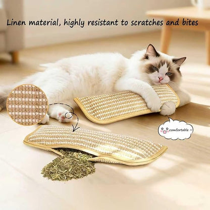 Catnip Chew Toy, Cat Toys Pack of 5 with 3 Lamb-Scented Wool Balls, Interactive Catnip Chew Toy, Soft Sisal Material, 6000mg of Catnip, Suitable for Indoor Scratching, Chewing, and Teething