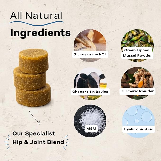 Hip & Joint Chews for Dogs – Glucosamine, Chondroitin, MSM & Green Lipped Mussel – Supports Mobility & Joint Health for Dogs – Natural Dog Joint Supplement – Chicken Flavor, 120 Soft Chews