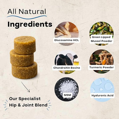 Hip & Joint Chews for Dogs – Glucosamine, Chondroitin, MSM & Green Lipped Mussel – Supports Mobility & Joint Health for Dogs – Natural Dog Joint Supplement – Chicken Flavor, 120 Soft Chews