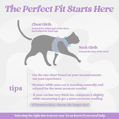 rabbitgoo Cat Harness and Leash Set for Walking Escape Proof, Adjustable Soft Kittens Vest with Reflective Strip for Cats, Comfortable Outdoor Vest, Light Purple, XL