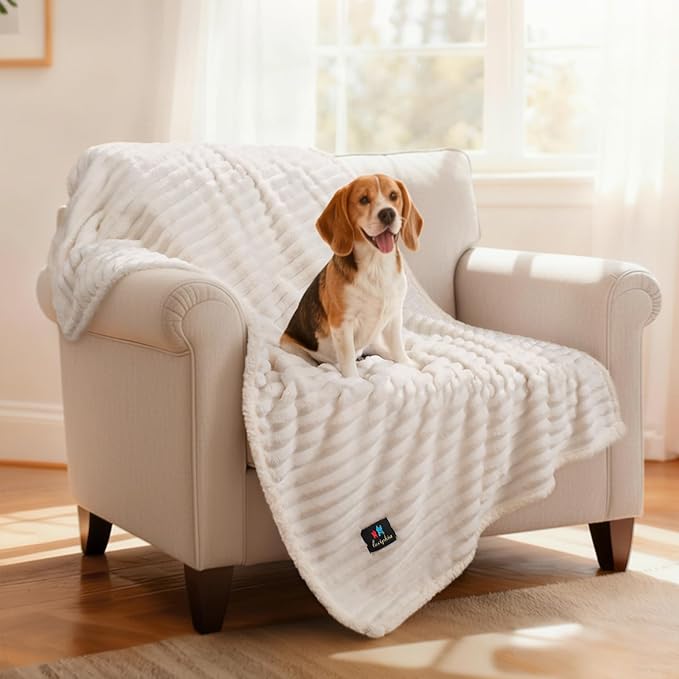 Luciphia Waterproof Dog Blanket for Medium Large Dogs Ultra-Soft Calming Cut Pile Flannel Throw Durable & Warm Furniture Protection for Couch Car Pet Blanket Machine Washable Soft White,M(57''x40'')