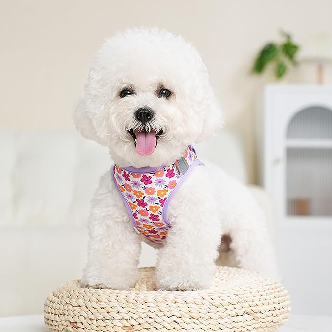 Small Dog Harness with Leash Purple Flowers Pattern Step in Mesh Padded Soft Harness for Small Medium Dogs Cats