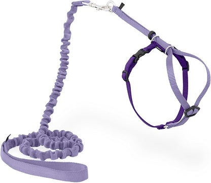 PetSafe Come With Me Kitty Cat Harness & Bungee Leash - Comfortable Cat Harness with Lightweight Bungee Leash for Outdoor Fun - More Secure Walks - Small - Lilac
