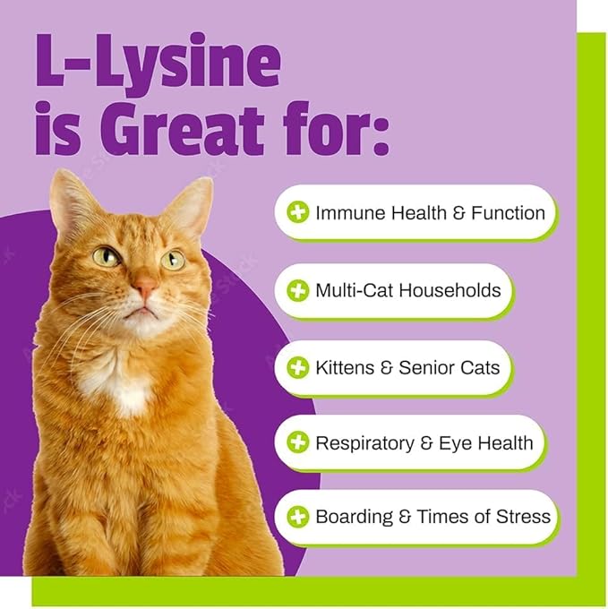 Pet Naturals Lysine for Cats, Chicken Flavor, 60 Chews - Immune and Respiratory Support for Cats - No Wheat or Corn - Vet Recommended