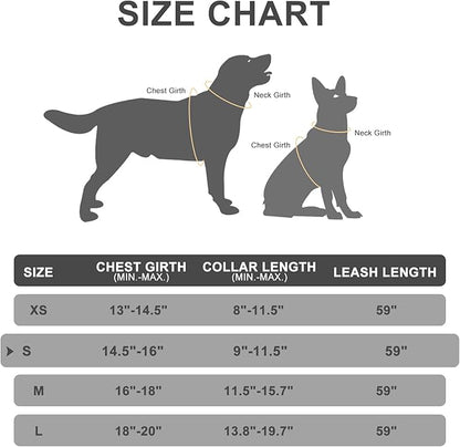 EXPAWLORER Classic Plaid Puppy Harness - Small Dog Collar and Leash with AirTag Holder Case - Soft Mesh Padded Adjustable Dog Vest Harness No Pull, Reflective Escape Proof for Outdoor, Blue S