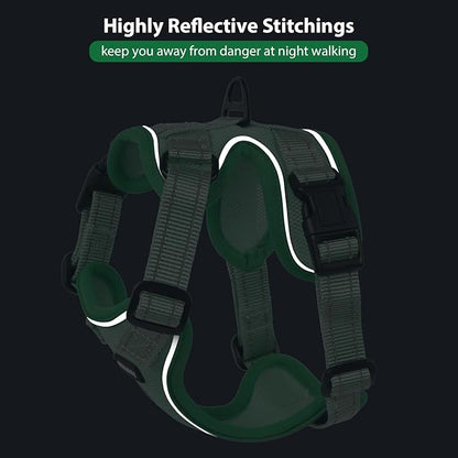 Rttochfy Cat Harness and Leash Set, Adjustable and Reflective Cat Vest, Escape Proof Kitten Harness, Easy to Put on with 3 Buckles for Cats Walking and Traveling (Light Green, S)
