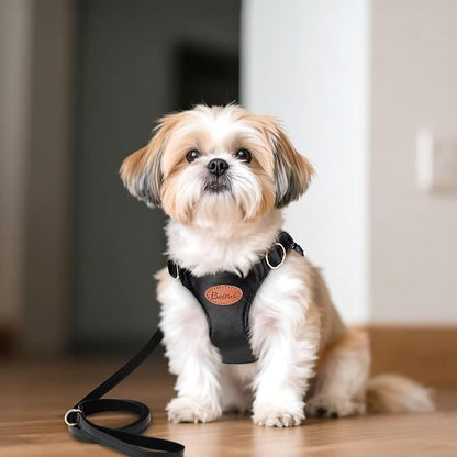 Beirui ‌Stylish PU Leather Dog Harness‌ and Leash Set for Small Dogs, ‌Adjustable Step in Puppy Harness with Breathable Mesh Lining and Durable Metal Buckle for Walking Traveling(Black,XS)