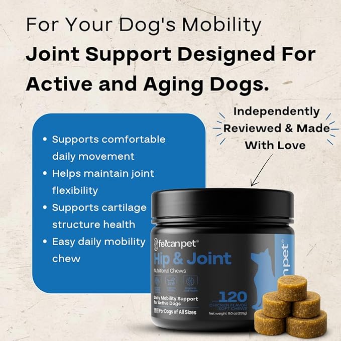 Hip & Joint Chews for Dogs – Glucosamine, Chondroitin, MSM & Green Lipped Mussel – Supports Mobility & Joint Health for Dogs – Natural Dog Joint Supplement – Chicken Flavor, 120 Soft Chews