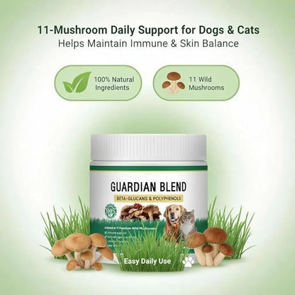Guardian Blend – 11-Mushroom Daily Support Powder for Dogs | Promotes Healthy Skin, Coat & Immune Function | Natural Formula, Bacon Flavor, Mixes Easily with Food