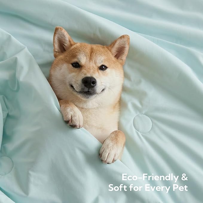 Soulbond Cooling Blanket for Large Dogs - Q-MAX>0.45, Washable Cool Pet Cats Throw Blanket for Hot Weather, Self-Cooling Soft Dog Mat for Bed Crates Couch Sofa Cars(40"x50", Mint Green)