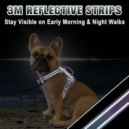 BARKBAY No Pull Dog Harness Large Reflective Dog Harness with Front Clip and Easy Control Handle for Walking Training Running with ID tag Pocket(Lavender Sky,XS)