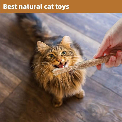 4 Pack Natural Silvervine Sticks for Cats - Chew Toys for Kittens Teeth Cleaning, Catnip Toy, Teething Stick - Interactive Kitten Toys for Indoor Cats Dental Care