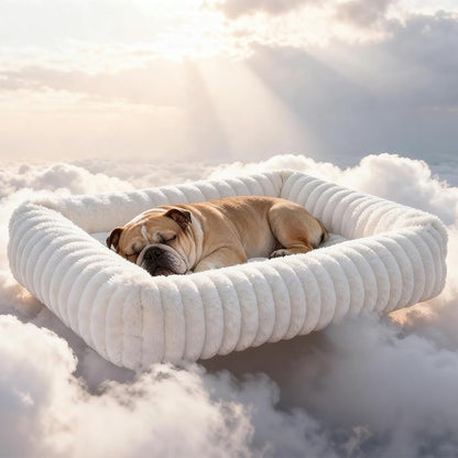 Dog Bed for Small Medium Size Dog, Washable Self Warming Dog Cat Beds for Indoor Cats Fluffy Rabbit Fur Pet Bed for Puppy and Kitten, Orthopedic Dog Cat Beds with Removable Cover & Anti-Slip Bottom