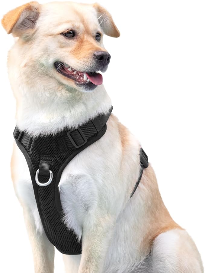 No Pull Dog Harness for Small Medium Large Dogs - Adjustable 2 Layer Mesh Dog Vest with Dual Clip, Escape Proof, Quick Release, Lightweight Breathable Mesh for Walking Hiking (Black,XL)