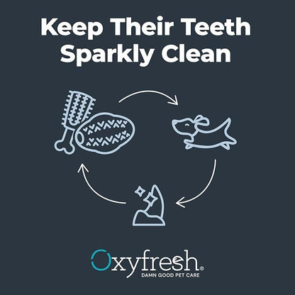 Oxyfresh Dog Dental Chew Toy - Best Dog Teeth Cleaning Toy – A Simple Bite and Brush Toy that Helps Remove Plaque, Cleans Teeth & Freshens Breath Without Brushing - Small