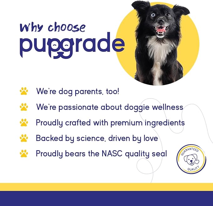 PupGrade Itch & Allergy Soft Chews for Dogs – Helps Reduce Occasional Itching – Skin & Coat Support Supplement with Pet Immune Postbiotics & Salmon Oil – Probiotic Immune & Gut Support – 60 Count