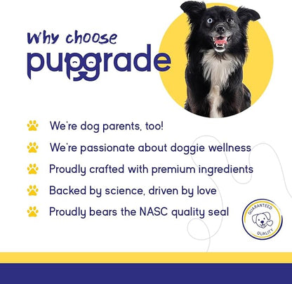 PupGrade Itch & Allergy Soft Chews for Dogs – Helps Reduce Occasional Itching – Skin & Coat Support Supplement with Pet Immune Postbiotics & Salmon Oil – Probiotic Immune & Gut Support – 60 Count