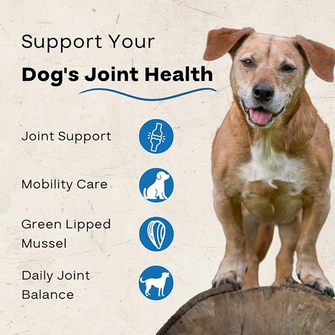 Hip & Joint Chews for Dogs – Glucosamine, Chondroitin, MSM & Green Lipped Mussel – Supports Mobility & Joint Health for Dogs – Natural Dog Joint Supplement – Chicken Flavor, 120 Soft Chews