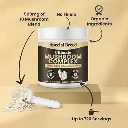 Mushroom Powder for Dogs & Cats - Organic Mushroom Complex for Immunity Support, Immune, Cognition, Vitality - Ten Mushroom Supplement with Turkey Tail, Lion's Mane, Reishi - 360 Gram (Pack of 2)