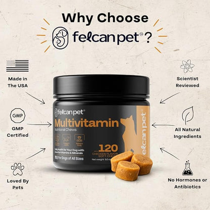 Dog Multivitamin Chews – Daily Dog Vitamins with 19+ Nutrients, Probiotics, Glucosamine & Omega Fish Oils – Supports Energy, Immune Health & Pet Wellness – Chicken Flavor, 120 Soft Chews