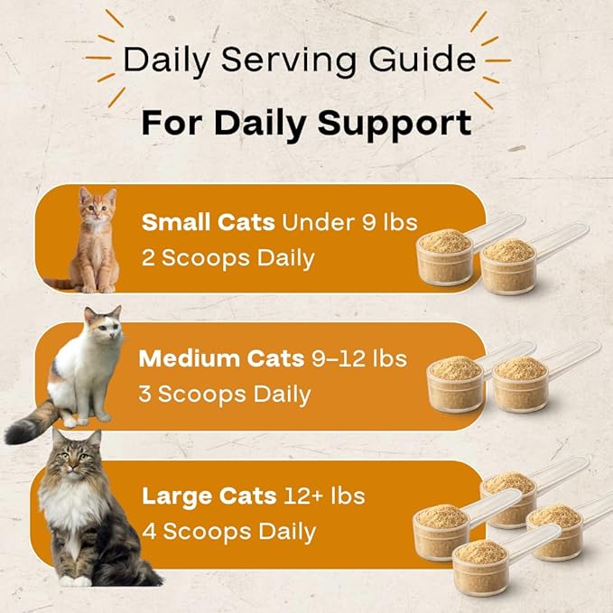 Cat Multivitamin Powder – Daily Nutritional Topper with 17 Active Nutrients, Taurine, Omega 3 & Glucosamine – Supports Energy and Overall Vitality – Cat Supplements – 120 Scoops