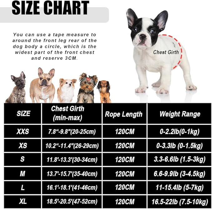 FEimaX Dog Harness and Leash Set for Walking, Soft Mesh Adjustable Easy Control Lightweight Cat Vest Harnesses with Reflective Strips, Escape Proof Small Dogs Cats Vests (Red, X-Small)