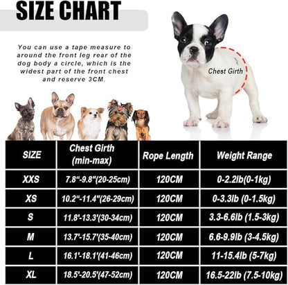 FEimaX Dog Harness and Leash Set for Walking, Soft Mesh Adjustable Easy Control Lightweight Cat Vest Harnesses with Reflective Strips, Escape Proof Small Dogs Cats Vests (Azure, Large)