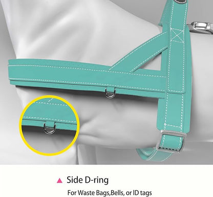 Magnetic Dog Harness and Leash Set with Quick Release Buckle, Easy On & Off Faux Leather Puppy Harness and Leash with Handle for Medium, Large Sized Dog