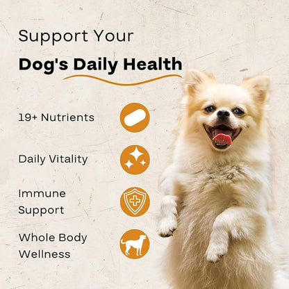Dog Multivitamin Chews – Daily Dog Vitamins with 19+ Nutrients, Probiotics, Glucosamine & Omega Fish Oils – Supports Energy, Immune Health & Pet Wellness – Chicken Flavor, 120 Soft Chews