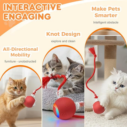 Interactive Cat Toys for Indoor Cats,Flying Bird Cat Kitten Toy,Moving Cat Toy for Bored Indoor Adult Pets,Smart Automatic Cat Chase Ball Toy (Red)