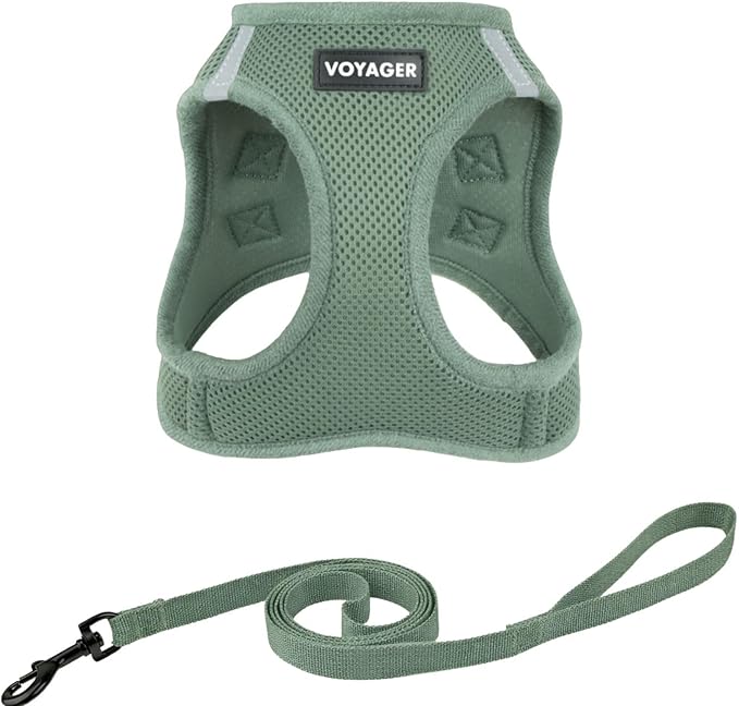 Voyager Step-in Pet Harness - All Weather Mesh, Adjustable Step in Harness for Cats and Dogs by Best Pet Supplies - 307 Set Moss Green, XXS