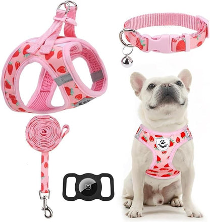 EXPAWLORER Dog Harness and Leash Set - Cute Puppy Harness Leash Dog Collar with AirTag Holder Silicone Case, Soft Padded Step in Pet Vest Reflective for Outdoor Walking, Strawberry L