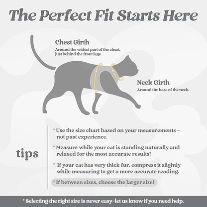 rabbitgoo Cat Harness and Leash Set for Walking Escape Proof, Adjustable Soft Kittens Vest with Reflective Strip for Cats, Comfortable Outdoor Vest, Grey, M