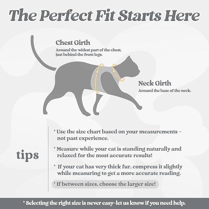 rabbitgoo Cat Harness and Leash Set for Walking Escape Proof, Adjustable Soft Kittens Vest with Reflective Strip for Cats, Comfortable Outdoor Vest, Grey, L