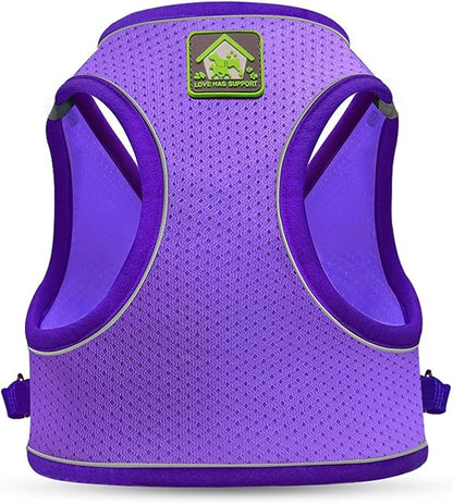 FEimaX Dog Harness and Leash Set, No-Pull Breathable Soft Mesh Puppy Vest Harness Reflective Adjustable Pet Harnesses for Small Medium Dogs and Cats - Outdoor Easy Control for Walking