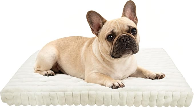 Dog Beds Flat Dog Crate Bed Waterproof for Meduim Large Dogs with Plush Removable Washable Cover Anti Slip Bottom for Indoor,Cream,34.6"x22.8"