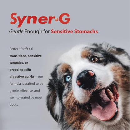 PHS Syner-G Digestive Enzymes Supplement for Dogs and Cats - Alpha-Amylase, Lipase, Cellulase, and Protease - Digestion Support, Absorption of Nutrients, Skin Health - 454 Grams