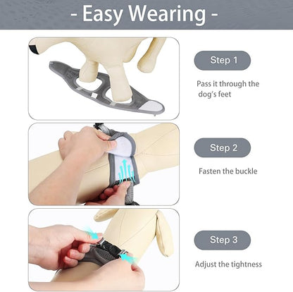 Dog Harness for Small Dogs and Leash Set, Honeycomb Grid, Reflective Lightweight Harness & Anti-Twist Pet Lead (Multi Color, Size: XS-S-M) (M, Grey)