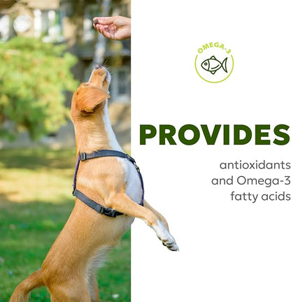 Dog Allergy & Itch Relief Soft Chews – Omega-3, Biotin, Collagen, Fish Oil – Reduces Shedding, Supports Healthy Skin & Coat, Year-Round Allergy Comfort – 60ct