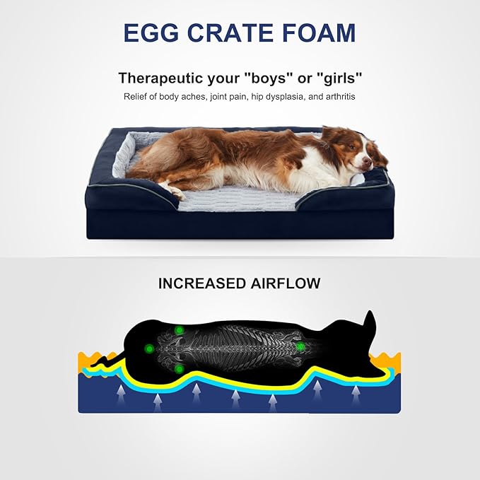 FURTIME Orthopedic Dog Bed for Small Dogs - Waterproof Dog Sofa Beds Small, Supportive Foam Pet Couch Bed with Removable Washable Cover, Waterproof Lining and Nonskid Bottom, Navy Blue