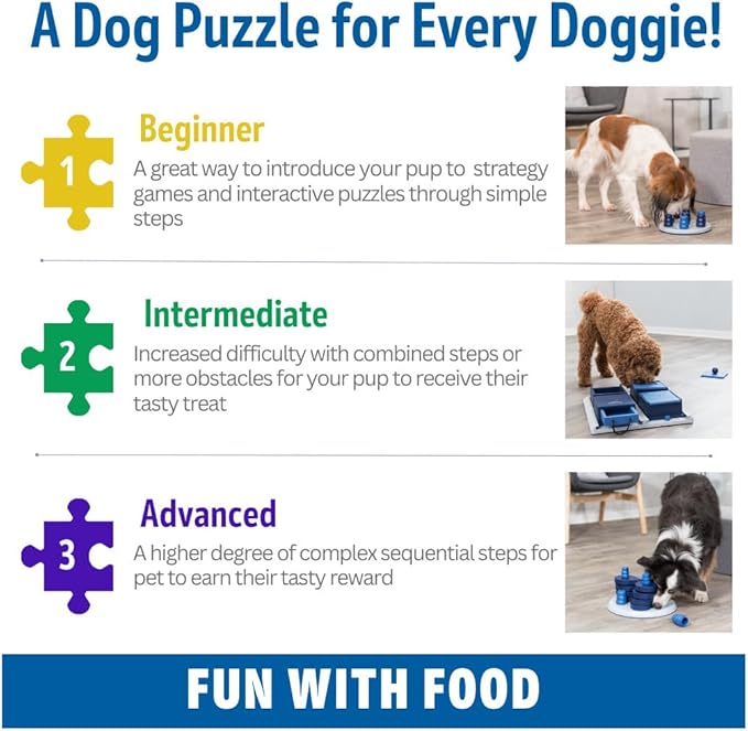TRIXIE Vario Poker Box 2 Dog Activity Interactive Toy, Level 2 Food Puzzle Game, Brain Teasing Treat Dispenser, IQ and Mental Development Toy for Smart Dogs, Enrichment Toy for Boredom Busting