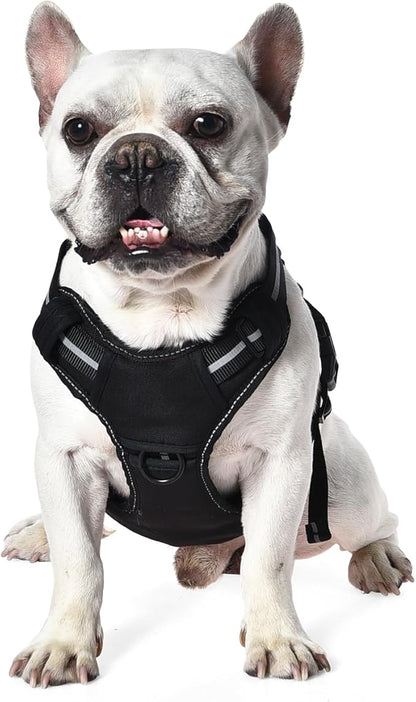 Amazon Basics No-Pull Dog Harness, Adjustable Front Clip, Escape Proof Tactical Vest, Small, Black
