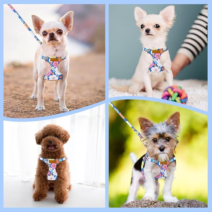 Lukovee Puppy Harness and Leash Set, No Pull Lightweight Soft Suede Adjustable Pet Harness Vest with Snap Buckle for Puppy Small and Medium Size Dog (Blue Flower, S)