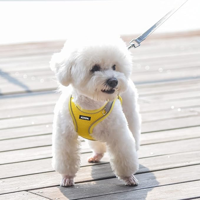 AIITLE Comfortable Dog Harness and Leash Set for Walking - Spring Step in Vest Harness,Reflective Bands, Adjustable No Pull Puppy Essentials, for Small Dogs and House Cats Yellow XS