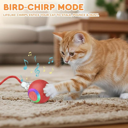 Interactive Cat Toys for Indoor Cats,Flying Bird Cat Kitten Toy,Moving Cat Toy for Bored Indoor Adult Pets,Smart Automatic Cat Chase Ball Toy (Red)